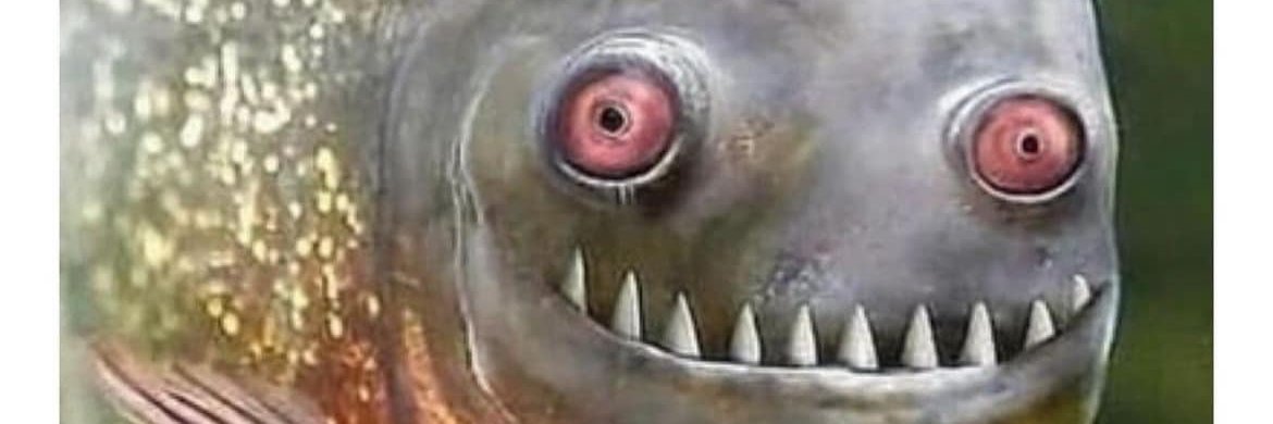 moritx's profile banner image