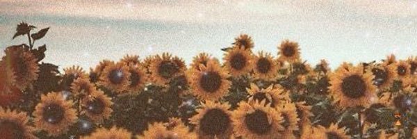 AnnaDsays Profile Banner