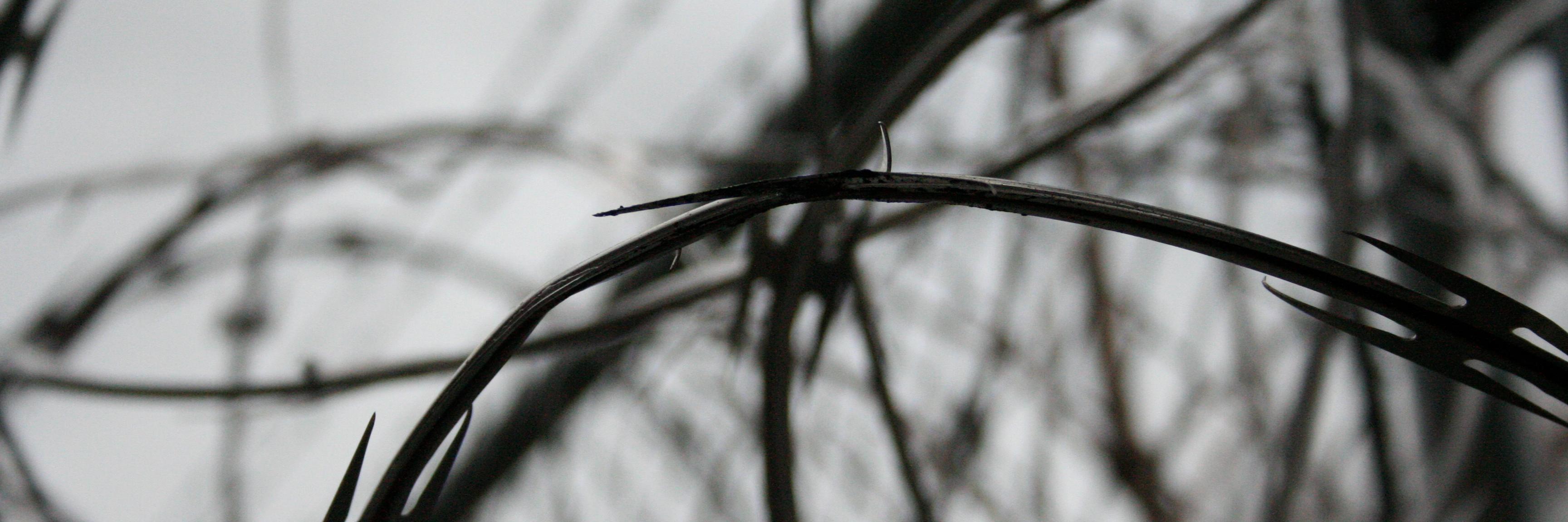 No Entry Design banner