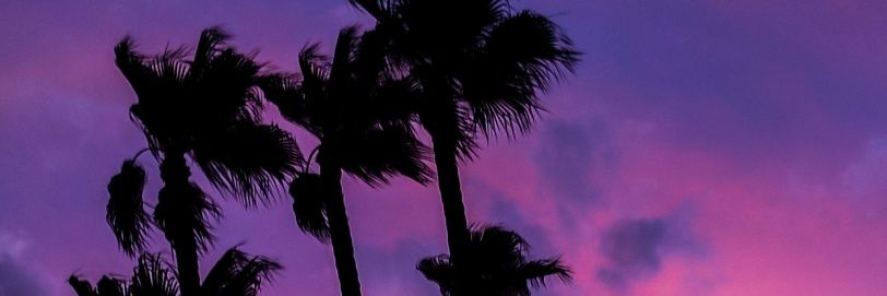 Sarabackstage's profile banner image