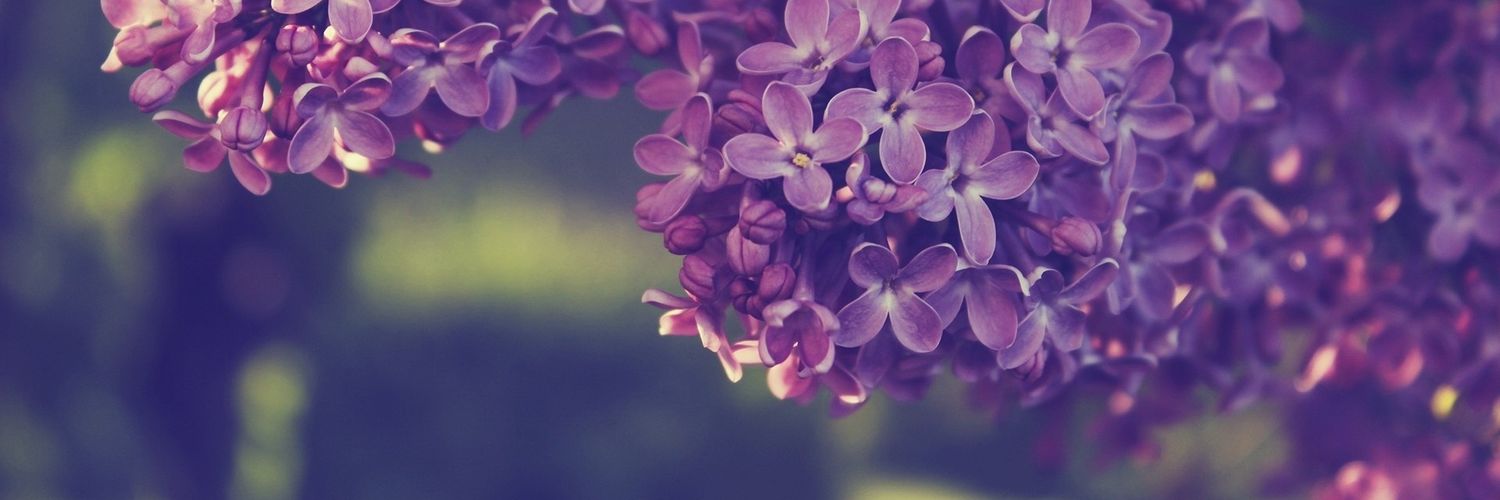 AlwaysAfter987's profile banner image