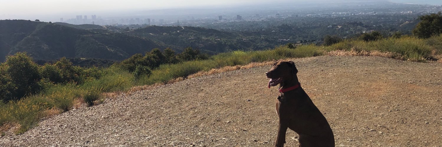 Simplyteresaa's profile banner image