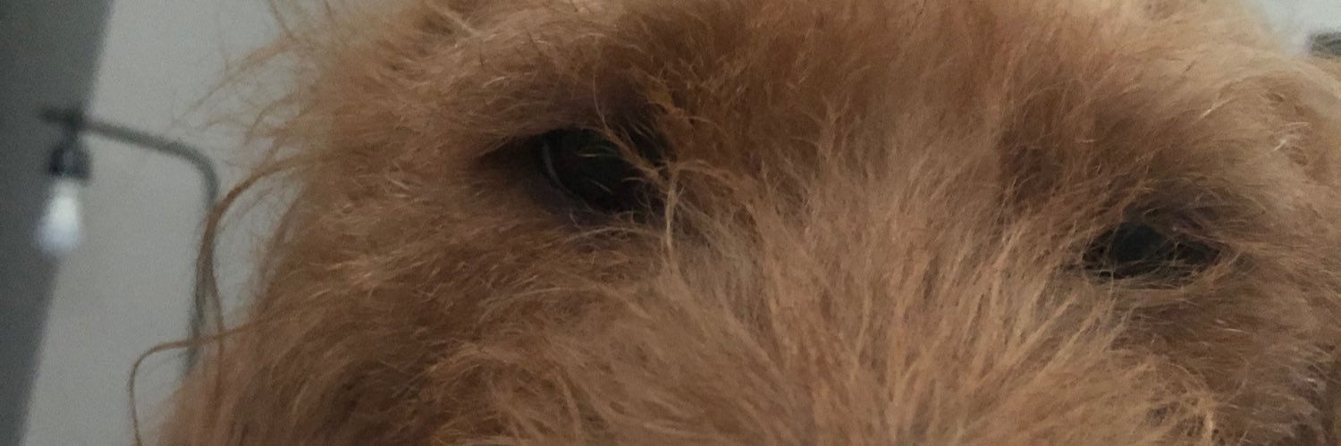 kurstinlynn97's profile banner image
