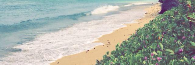 haley_thomas24's profile banner image