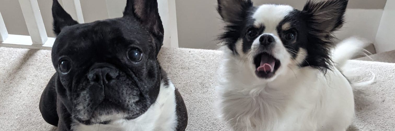 rubyoctober's profile banner image