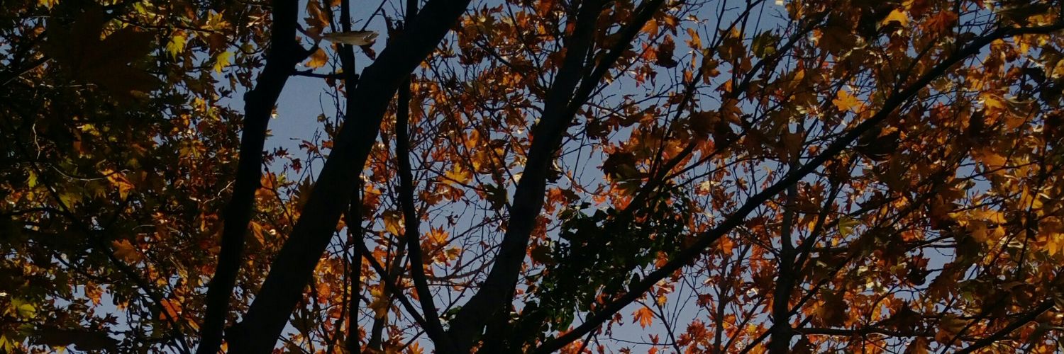 handetrk8's profile banner image