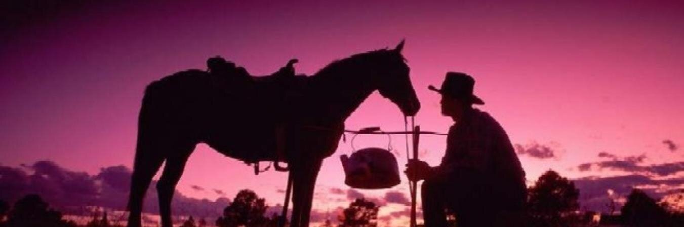aanaapfvr's profile banner image
