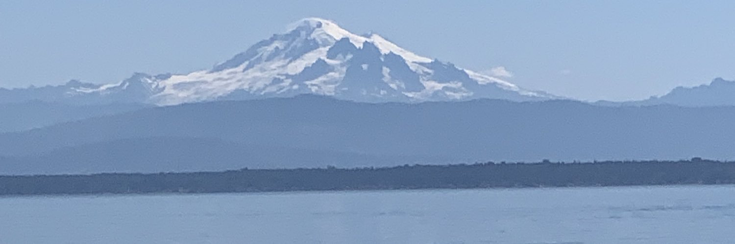 MluffyFax's profile banner image
