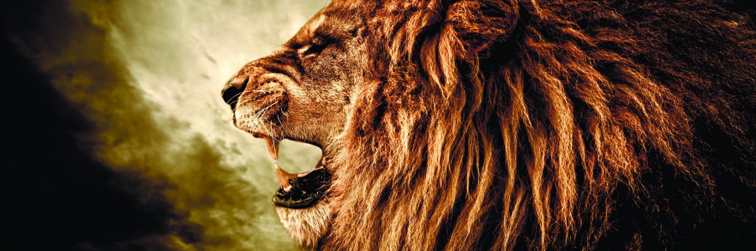 Sammy_Asad's profile banner image