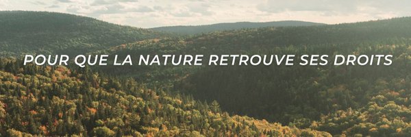 _CQDE Profile Banner