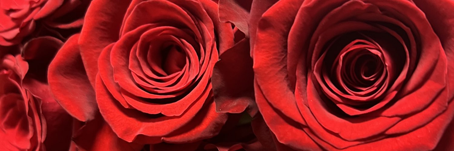 Zari169's profile banner image