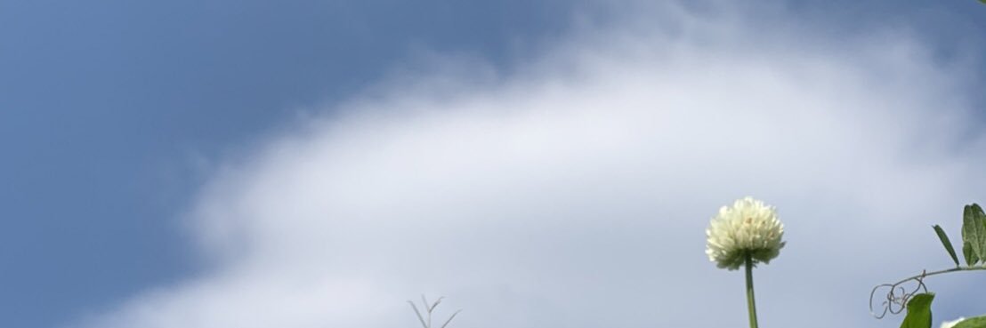 orangecoeur's profile banner image