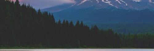 AustinCranston's profile banner image