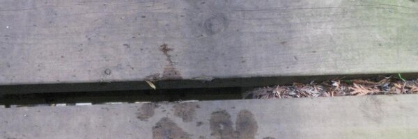 JenJain16 Profile Banner