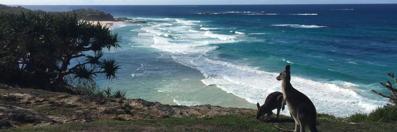 Hernan Caceres-Escobar banner