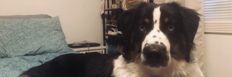 SBoggs7's profile banner image