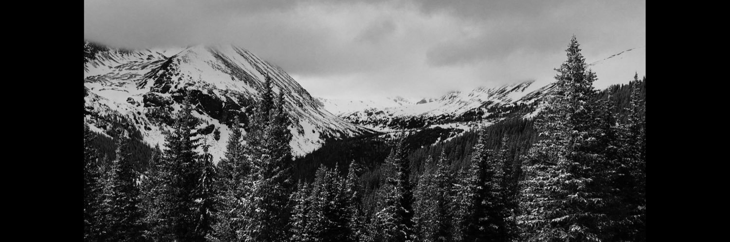 Dan Page banner