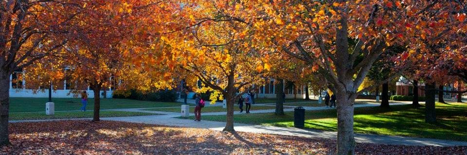 UAFS_LangsComm's profile banner image