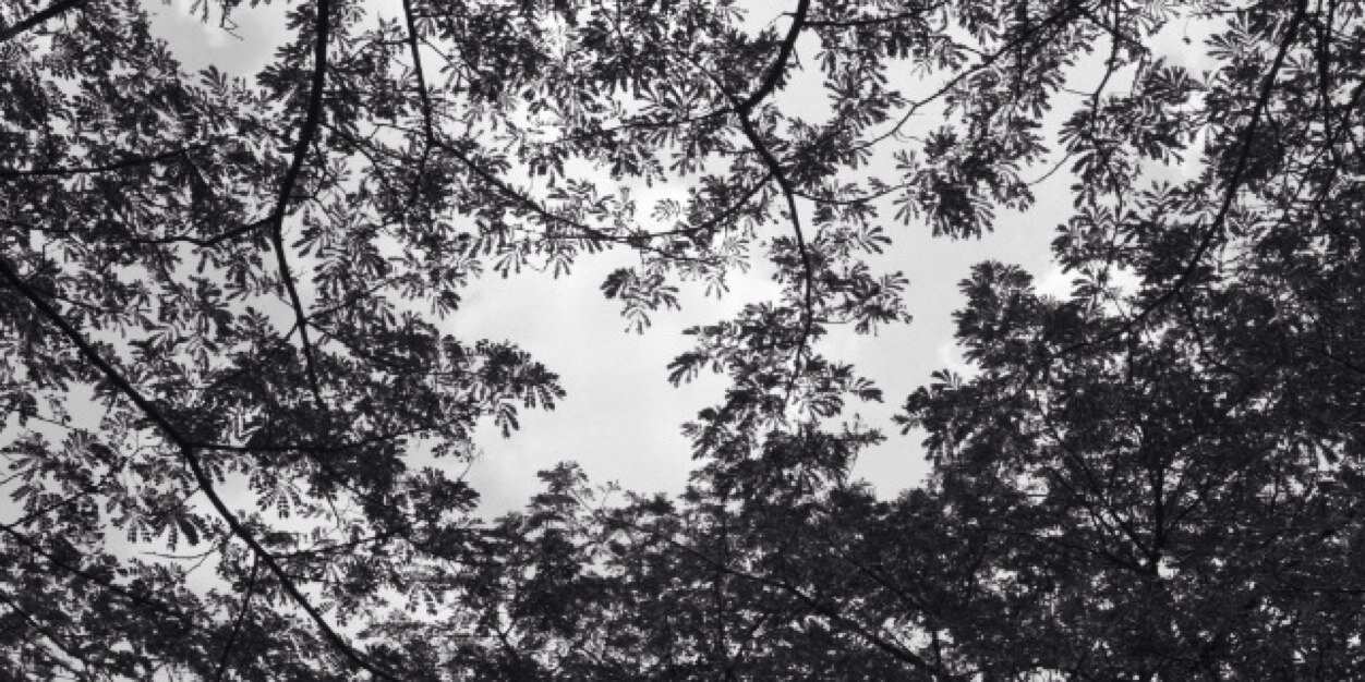 ashalifa's profile banner image
