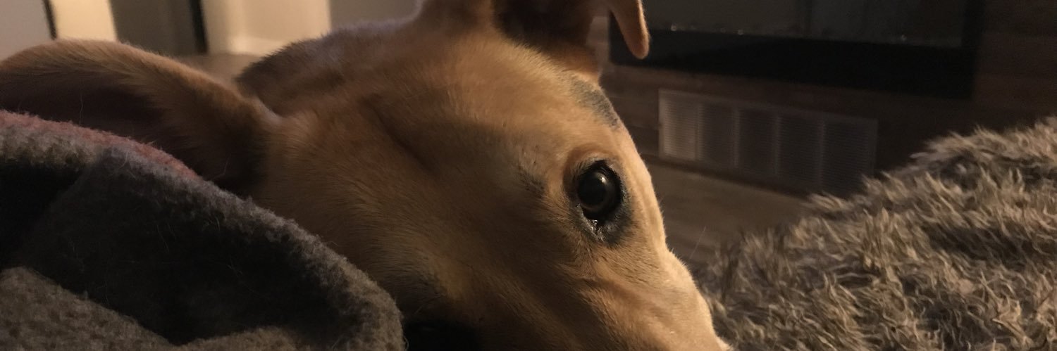 _cryssy's profile banner image