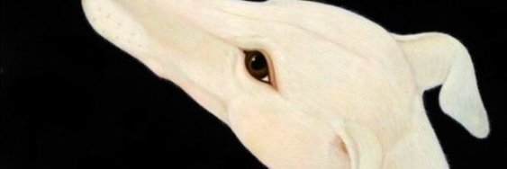 tamnmmara's profile banner image