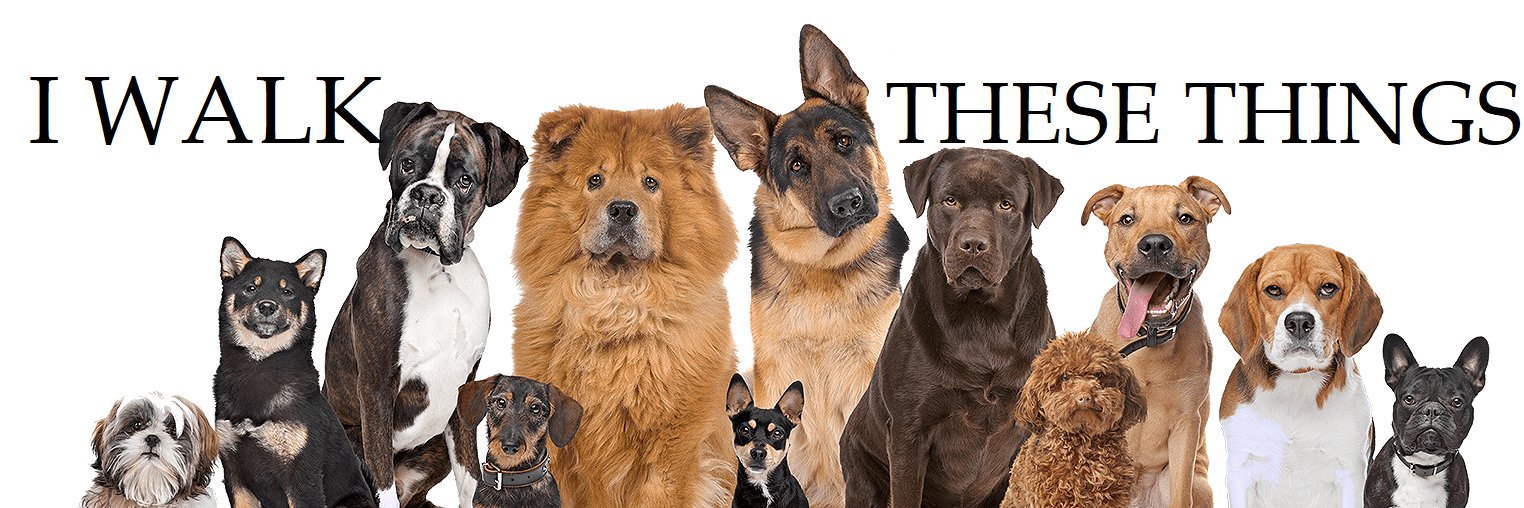 lelandcomedy1's profile banner image