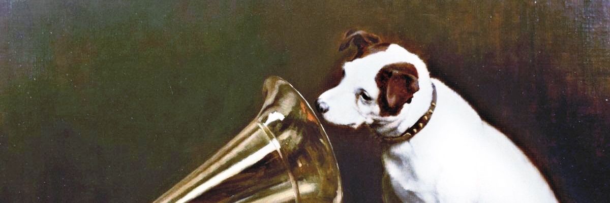 Reallydum's profile banner image