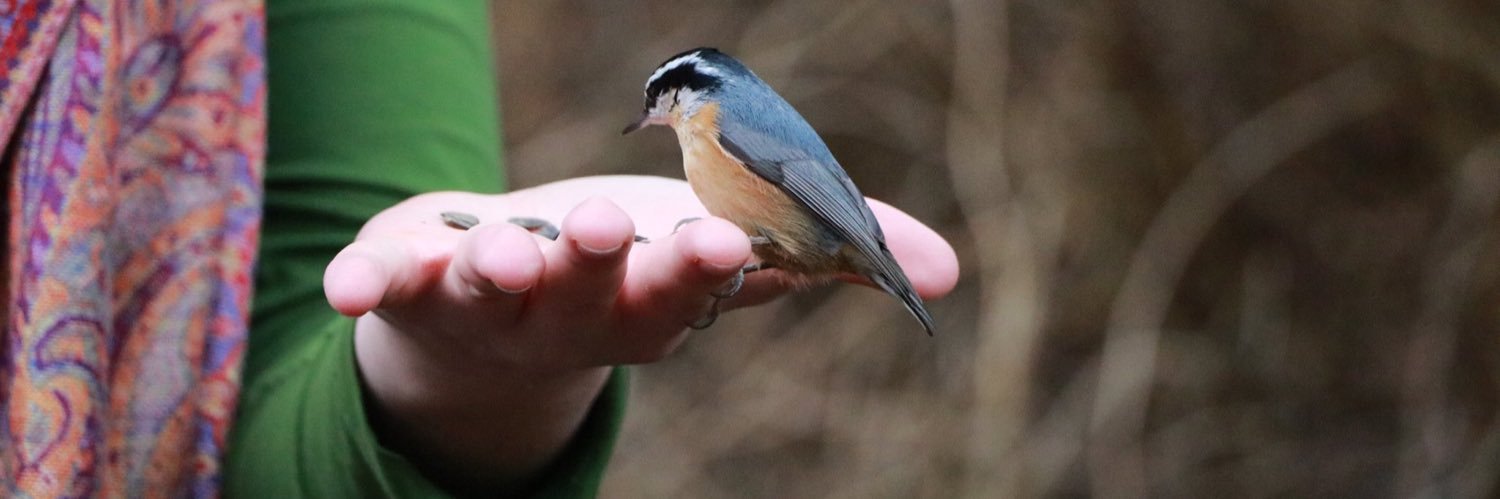 Laura MacTaggart banner