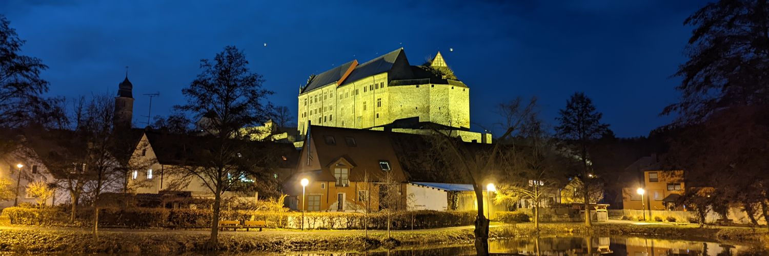 Alexander Filipin banner