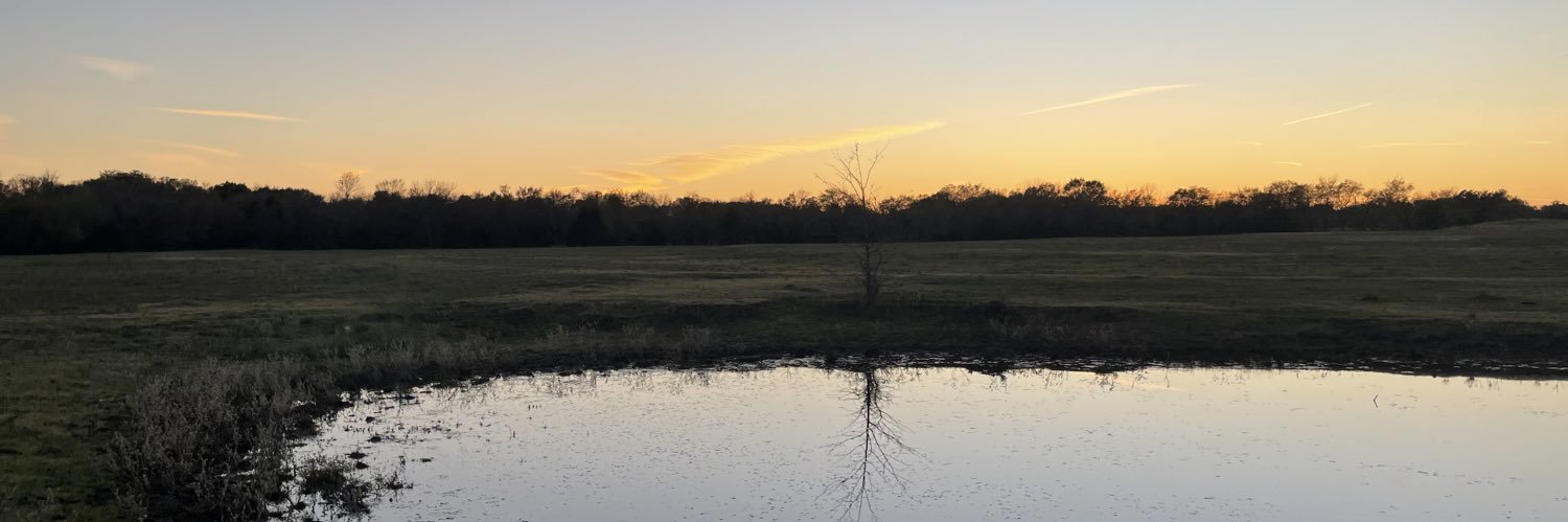 ambereoreilly's profile banner image