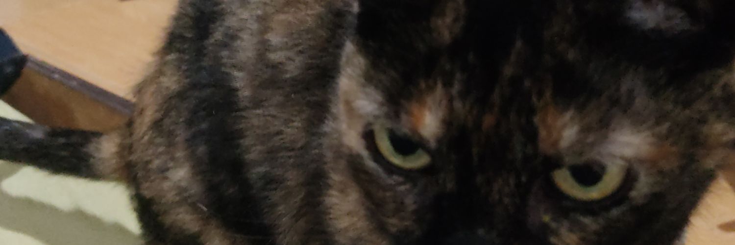 camymotto's profile banner image