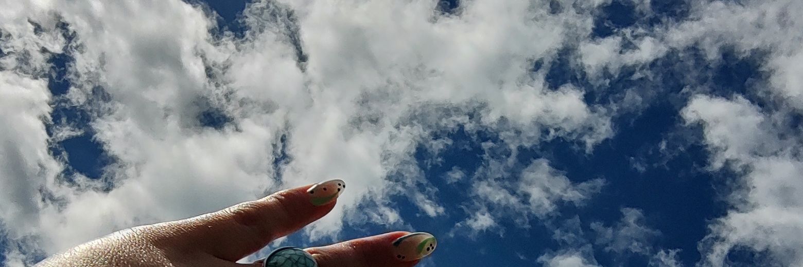 vickiisilvaa's profile banner image