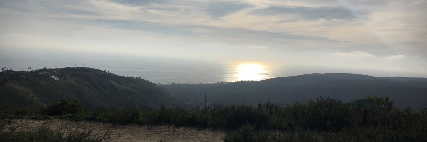 LadyBauce's profile banner image