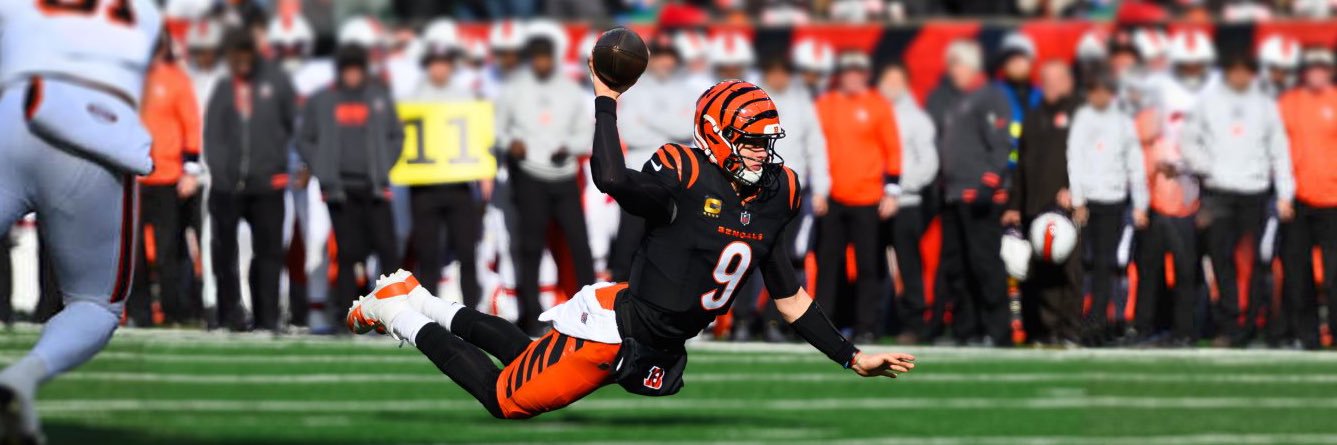 ThatBengalsDog's profile banner image