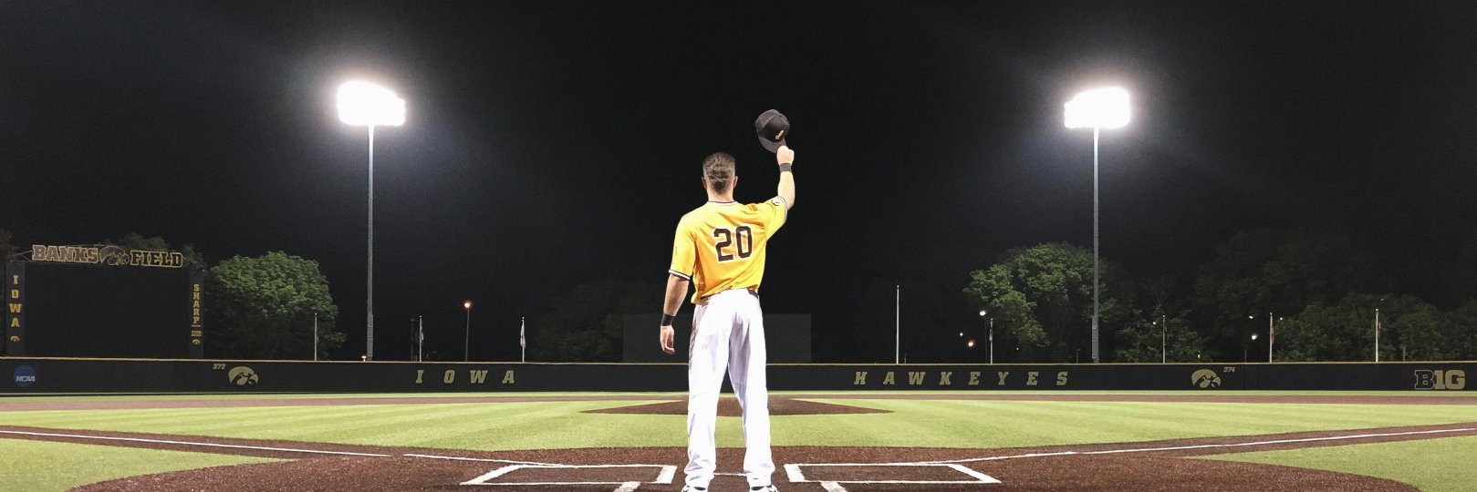Austin Guzzo banner