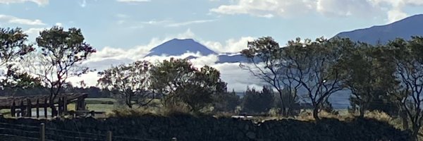jimelovato Profile Banner