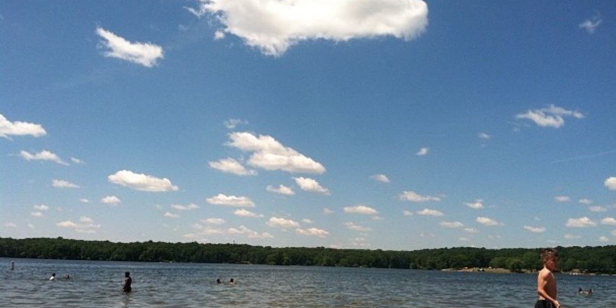 rachael ratcliff banner