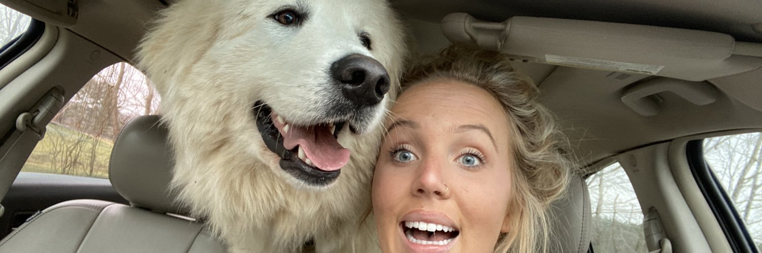 margethesarge_'s profile banner image