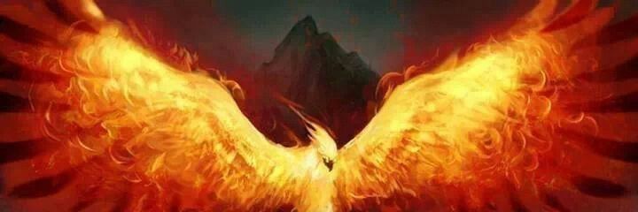 SCaladesi's profile banner image