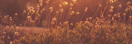 Keni_Ann's profile banner image