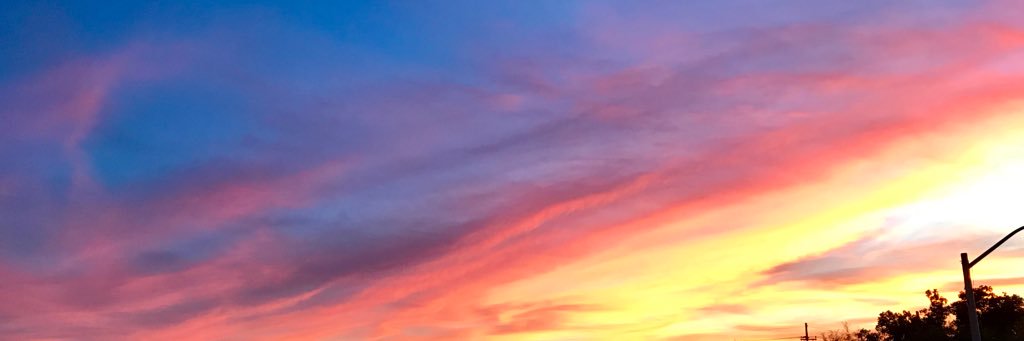 SammySaul1's profile banner image