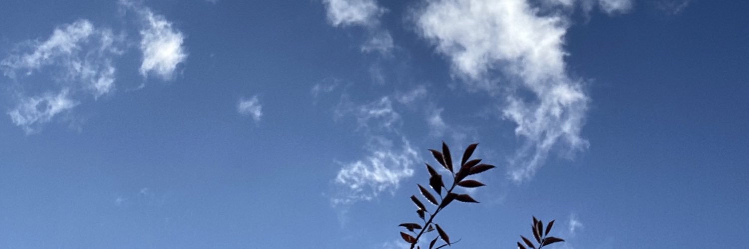 Bubbs15's profile banner image