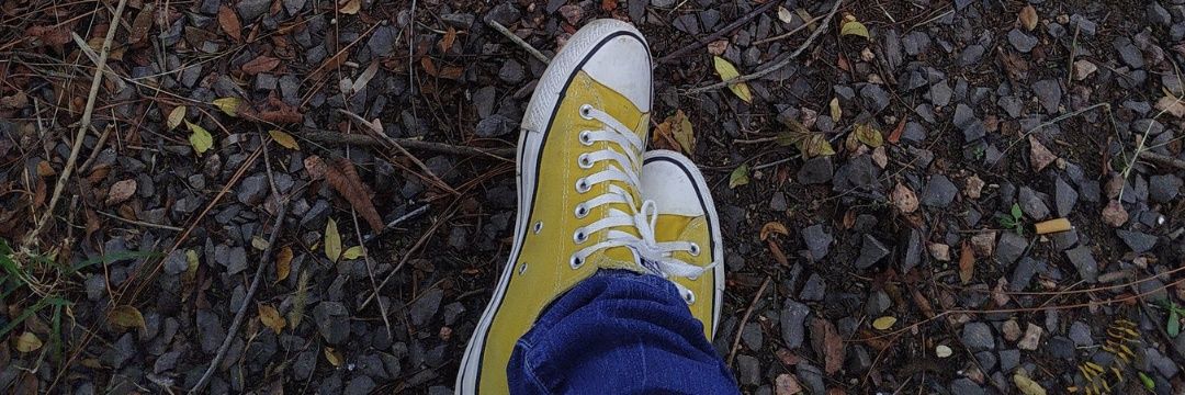 lucaskdarocha's profile banner image