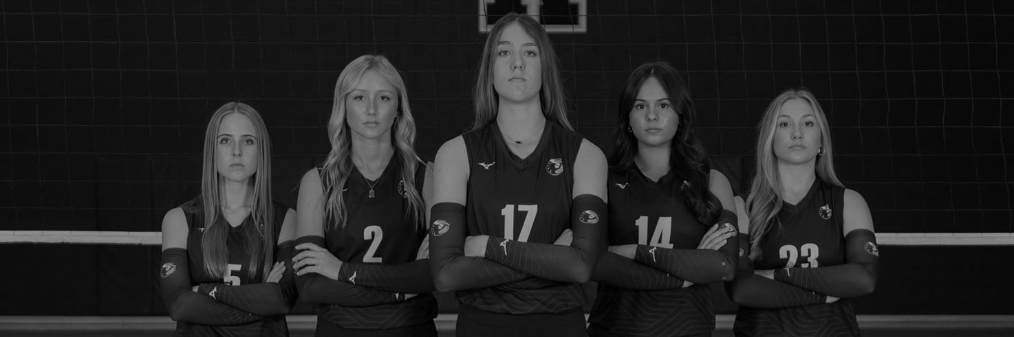 Ironwood Ridge Volleyball banner