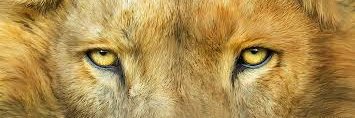 VicPeroni's profile banner image