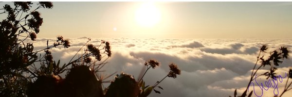 e_vime Profile Banner