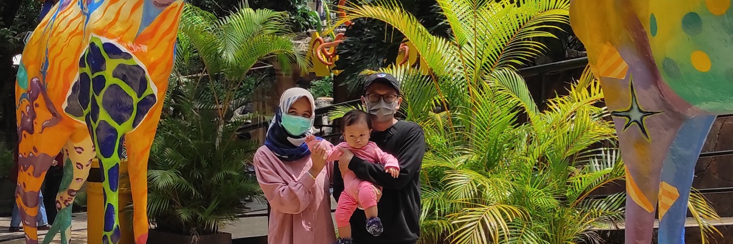 fsaniza's profile banner image