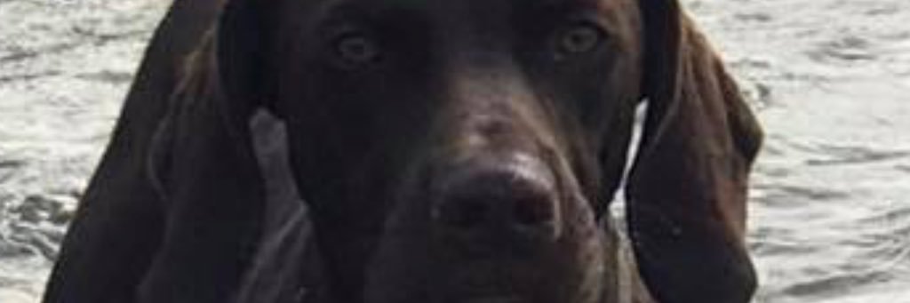BmccraryII's profile banner image