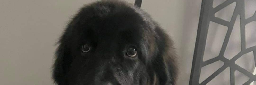 lo_stod's profile banner image
