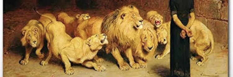 Alpha Observer banner